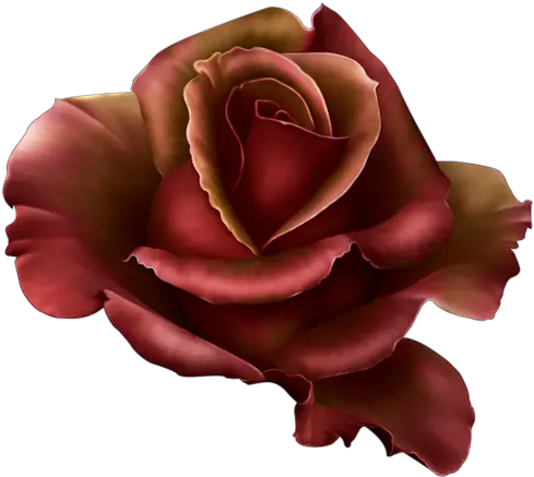 Download Garden Flames Png Dark Red Rose Png Image With No Krmz Güller Png Red Flames Png