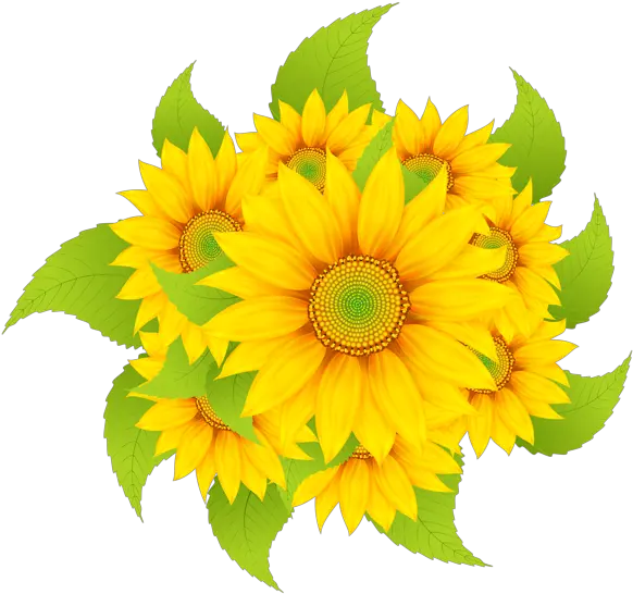 Sunflowers Decoration Clipart Png Image Bordado De Coruja Clip Art Sunflower Emoji Transparent