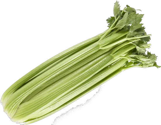 Duda Farm Fresh Foods Products Chicory Png Celery Png