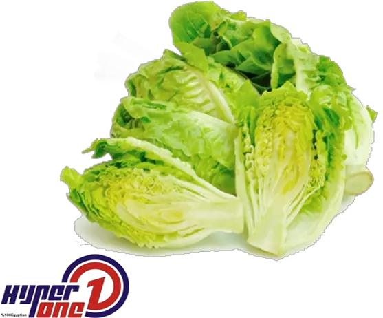 Lettuce Lettuce Png Lettuce Png