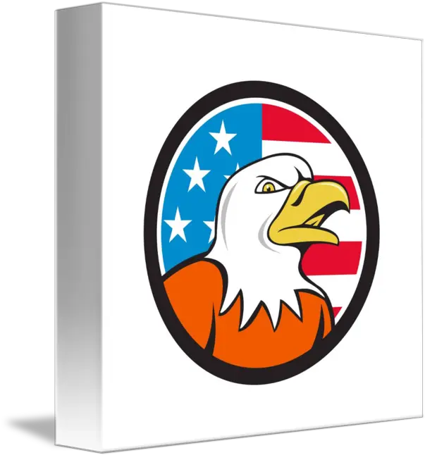 American Bald Eagle Head Angry Flag Bald Eagle Png Bald Eagle Head Png