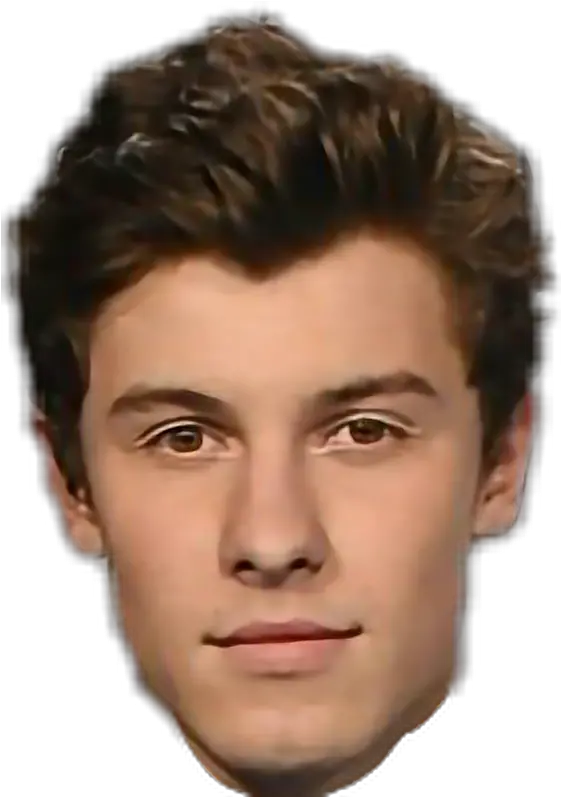 Shawn Mendes Head Png Download Cara De Shawn Mendes Png Shawn Mendes Png