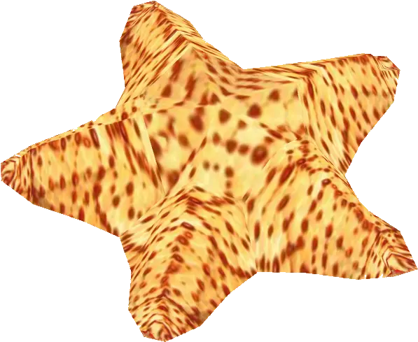 Download Cushion Sea Star Starfish Png Image With No Starfish Sea Star Png