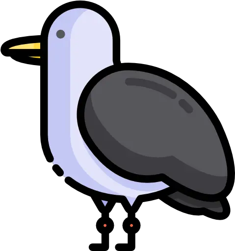 Free Icon Seagull Flightless Bird Png Seagull Icon