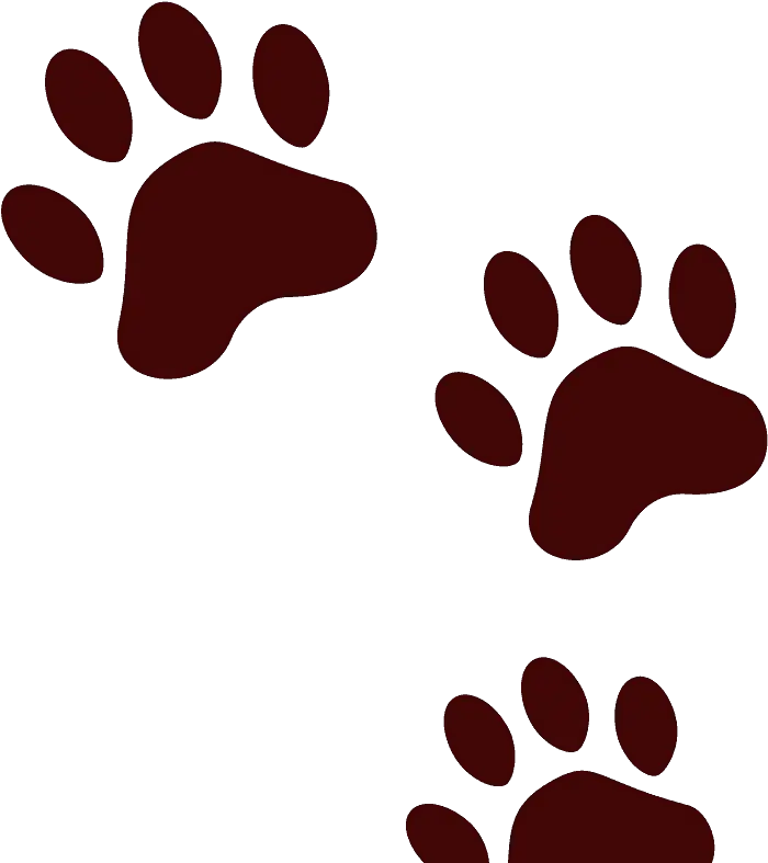 Paw Prints Emoji Clipart Free Download Transparent Png Bear Footprint Emoji Paw Prints Transparent