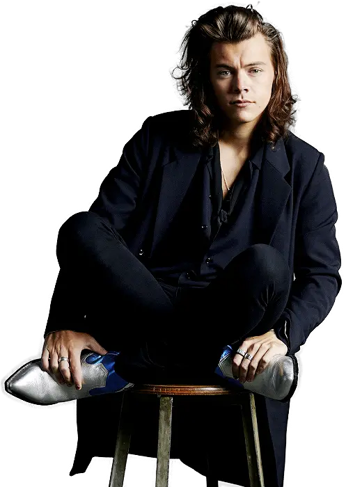 Download Hd Harry Styles Png By Lourold Harry Styles Made In The Am Photoshoot Harry Styles Png