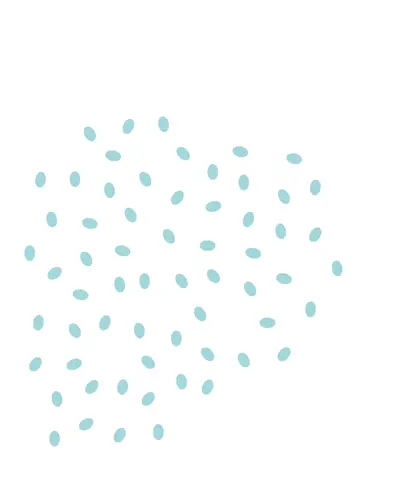 Jinjiangfoodscom Dot Png Fruits Icon