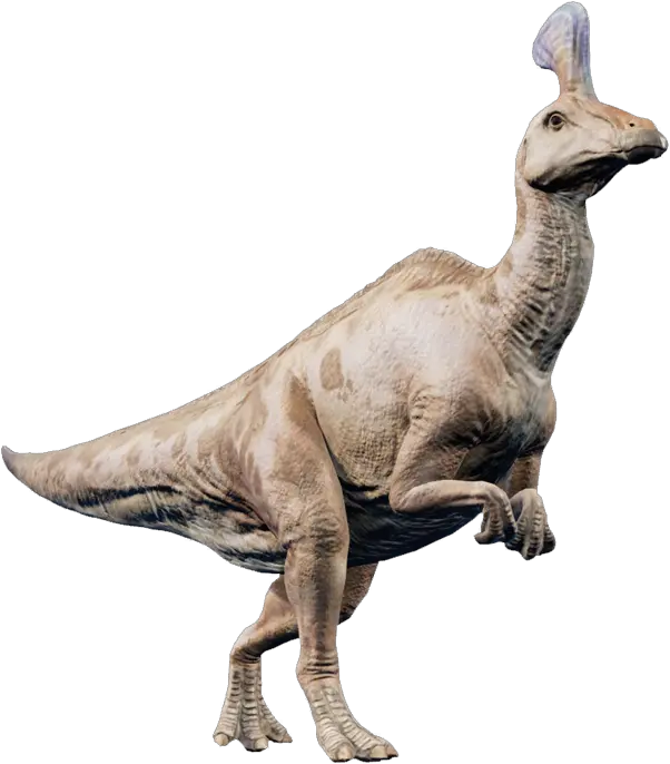 Jurassic World Evolution Wiki Jurassic World Evolution Tsintaosaurus Png Evolution Png