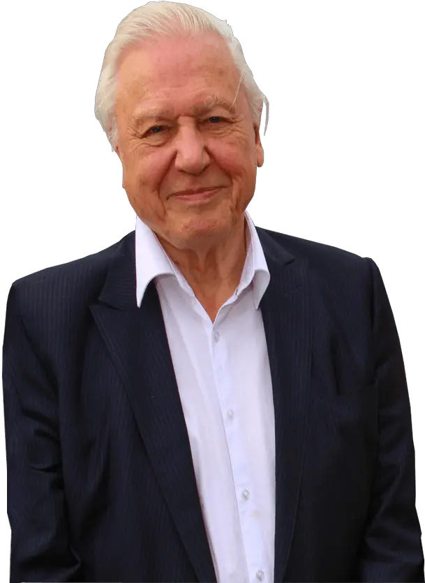 Sir David Attenborough Transparent Background David Attenborough Transparent Background Png Face Transparent Background