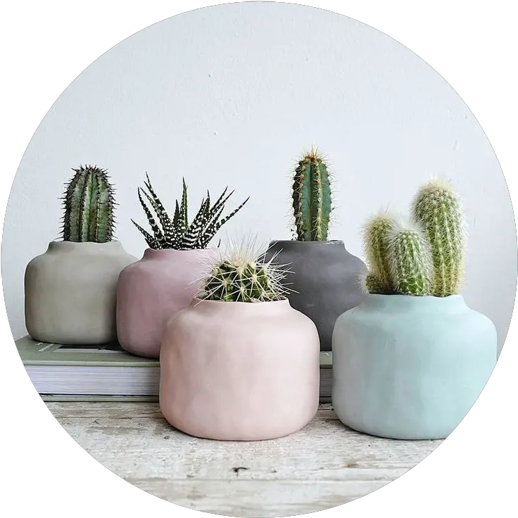 Tumblr Aesthetic Pastel Kaktus Png Aesthetic Pots Tumblr Cactus Png