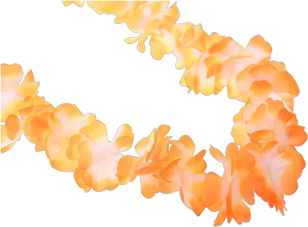 Hawaiian Lei Garlands Colour Event Supplies Running Imp Color Gradient Png Lei Png