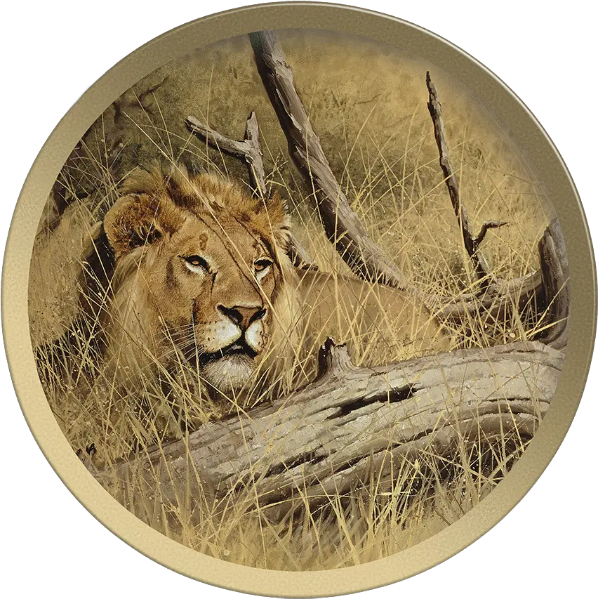 Download Siberian Tiger Head Plate Masai Lion Full Size Circle Png Tiger Head Png