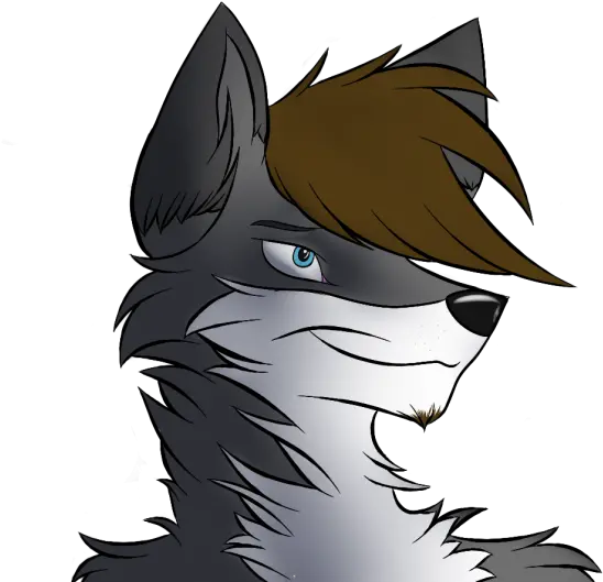 Download Kai Zane Transparent Furry Png Furry Png