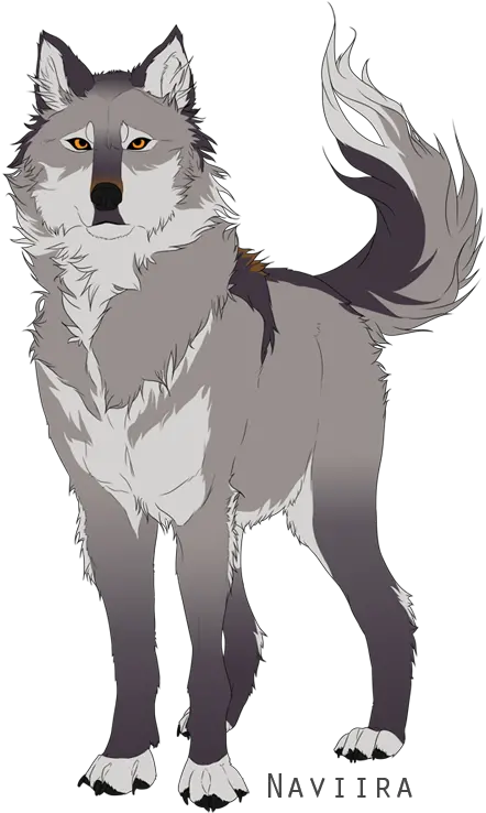 Download Wolf Cartoon Png Image Anime Gray And White Wolf Wolf Cartoon Png