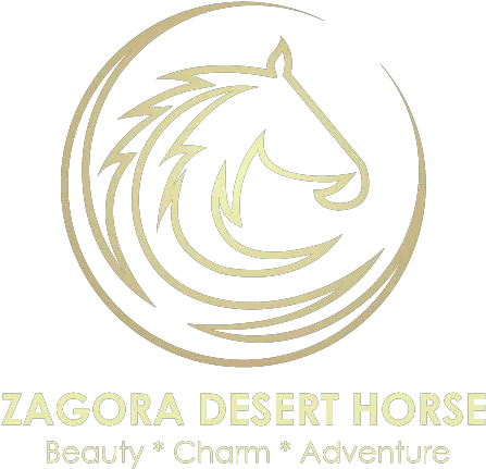 Zagora Desert Horse Best Way To Discover Zagora Ozone Business Line Png Horse Emoji Png
