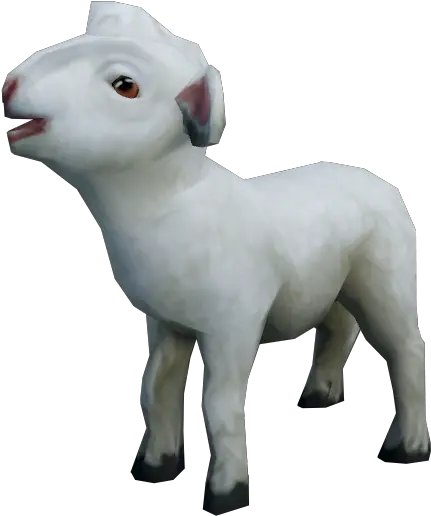 Liu0027l Lamb The Runescape Wiki Sheep Png Lamb Png