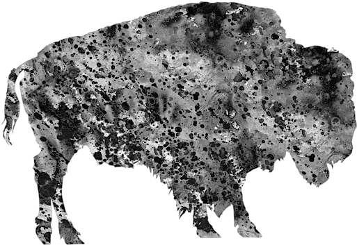 Buffalo Greeting Card Colorful Buffalo Png Buffalo Icon Apparel