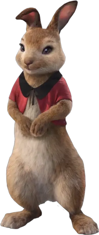 Flopsy Peter Rabbit Movie Flopsy Png Peter Rabbit Png