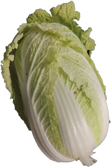 Free Cabbage Transparent Download Clip Art Romaine Lettuce Png Cabbage Transparent Background