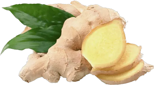 Ginger In Png Ginger Png Ginger Png