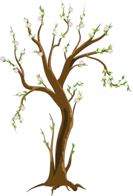 Free Png Download Spring Treepicture Images Background Trees In Spring Clipart Spring Background Png