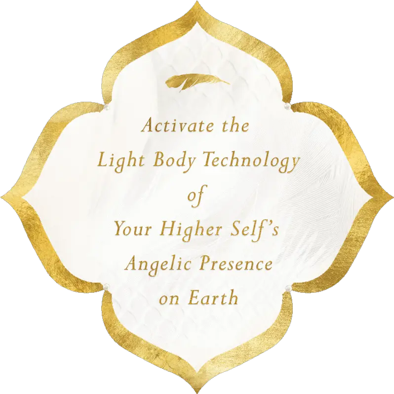 Activate Your Angel Wings The Sophia A Living Transmission From The Sophia Dragon Tribe Png Angel Wings Logo