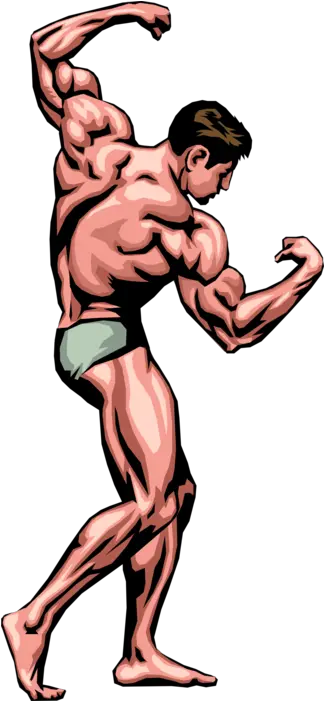 Bodybuilder Poses Image Illustration Body Builder Pose Vector Png Muscle Man Png