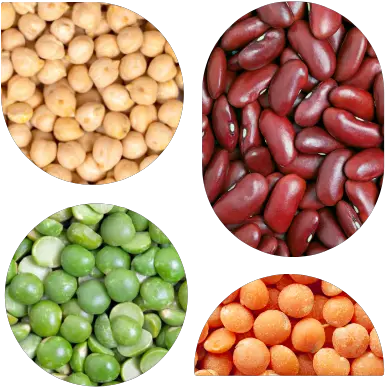 Request For Proposals Industry Consultants Pulse Starch Bean Texture Png Pea Icon