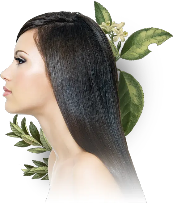 Shampoo Clarifying Evolution Hair Hair Png Girl For Shampoo Women Hair Png