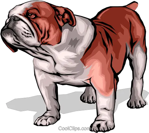 Bulldog Royalty Free Vector Clip Art Illustration Anim0043 Bulldog Png Bulldog Transparent Background