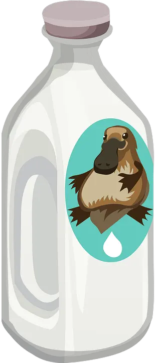 Bottle Milk Platypus Free Vector Graphic On Pixabay Milk Png Platypus Png