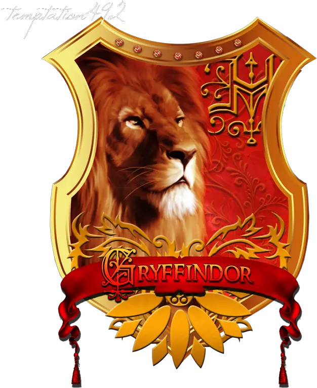 Gryffindor Hermione Granger T Shirt Lion Png Gryffindor Png