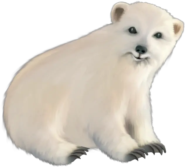 Polar Bear Png 47 Photo 6819 Transparent Image For Baby White Bear Transparent Polar Bear Png