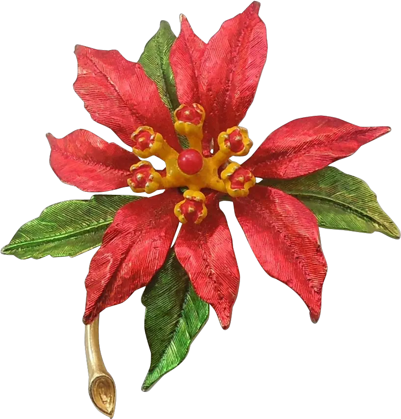 Poinsettia Transparent Vintage Flower Png Poinsettia Transparent Background