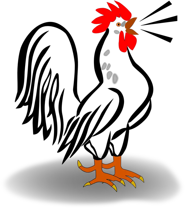 Rooster Cark Crow Free Rooster Clip Art Png Rooster Png