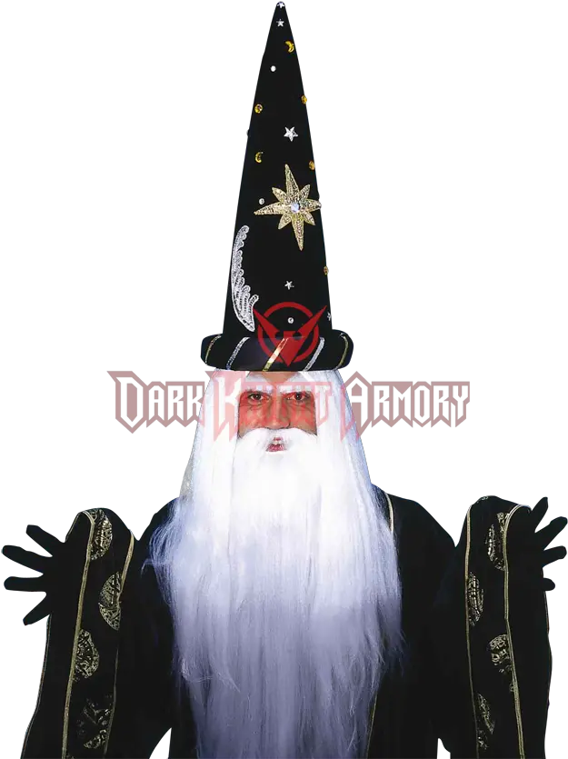 Download Zoom Costume Png Wizard Beard Png