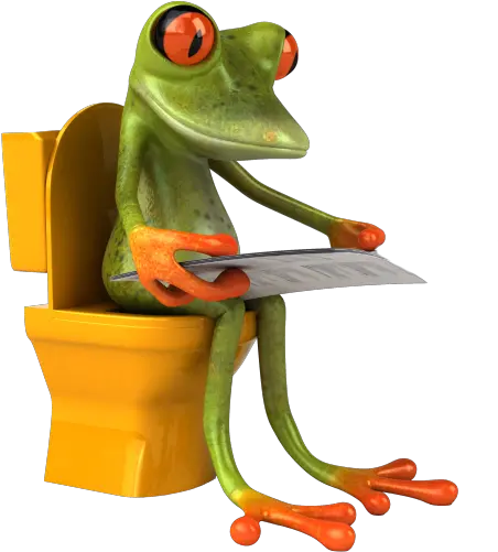 Green Frog Kermit My Blog Chiste Meme Flip Flops Funky Toilet Seats Png Kermit Png