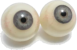 Harvardu0027s Breakthrough Artificial Eye Exceeds The Artificial Eyeball Png Human Eyes Png