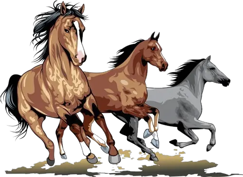 Running Horses Horse Runing Image Png Horse Running Png