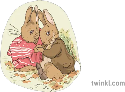 Benjamin Bunny And Peter Rabbit Illustration Twinkl Cartoon Png Peter Rabbit Png