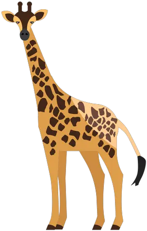 Giraffe Side View Flat Transparent Png U0026 Svg Vector File Giraffe Giraffe Transparent Background