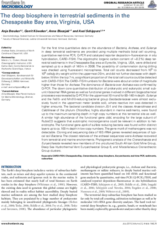 Pdf The Deep Biosphere In Terrestrial Sediments Png Dr Martens Icon 2216
