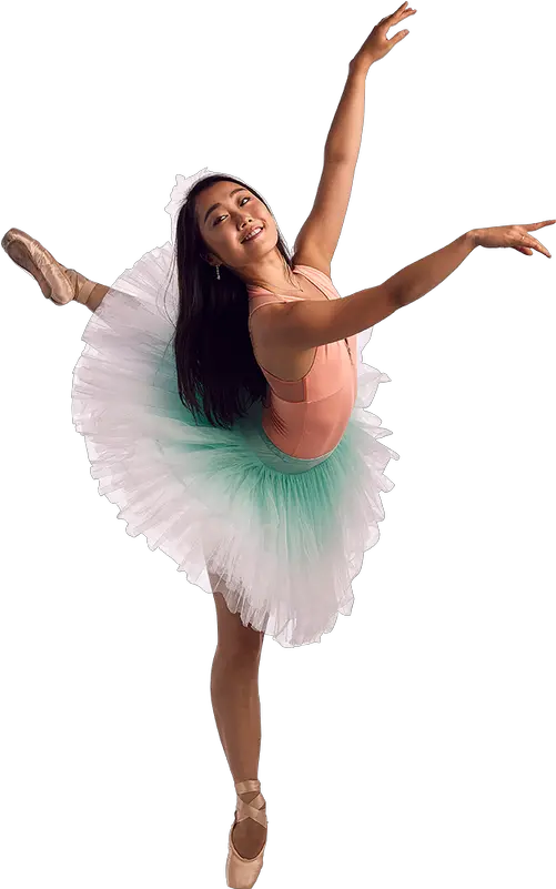 Iori Araya Ballet Memphis Dance Skirt Png Dance Shoe Icon