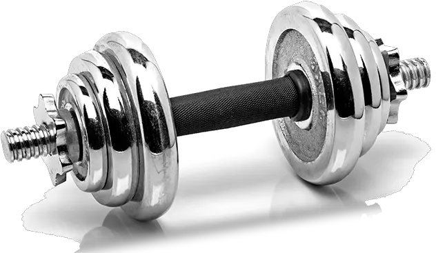 Gym Png Transparent Images Gym Weights Png Gym Png