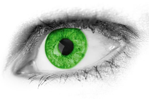 Download Eyes Png Real Green Eyes Transparent Green Eyes Png