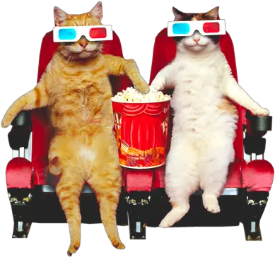 Meme Creator Cat Popcorn Meme Generator At Memecreatororg Cats At The Movies Png Meme Glasses Png