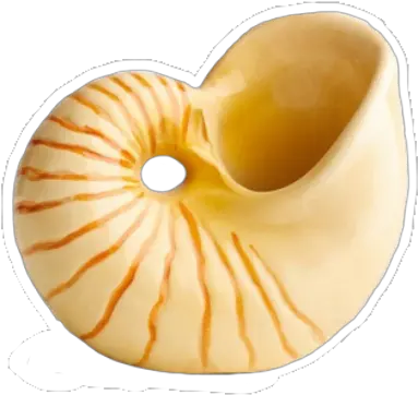 She Sells Seashells Seashell Mini By Nora Fleming Png Transparent