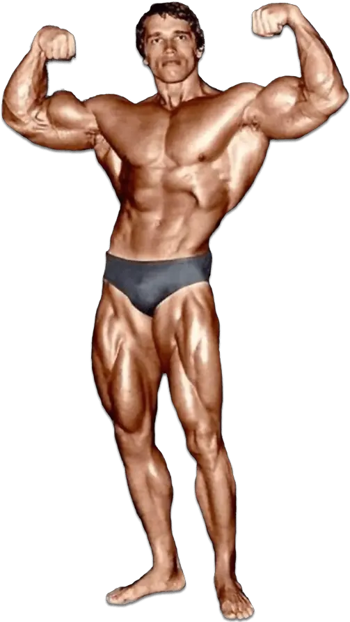 Arnold Schwarzenegger Arnold Schwarzenegger Bodybuilding Png Arnold Schwarzenegger Png