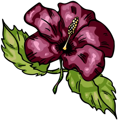 Tropical Flower Hibiscus Transparent Png U0026 Svg Vector File Hawaiian Hibiscus Hibiscus Flower Png