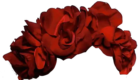 Flower Crown Rose Flower Crown Png Flower Crown Transparent